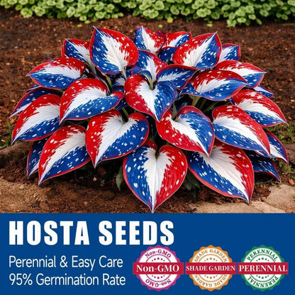 🎉Last Day Sale Off 49%🎉Celebrate America's 250th 🌱Premium Shade-Loving Hosta Seeds