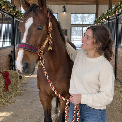 🐴🎄 24-Day Equestrian Advent Calendar – Full-Size Horse Gear Surprises